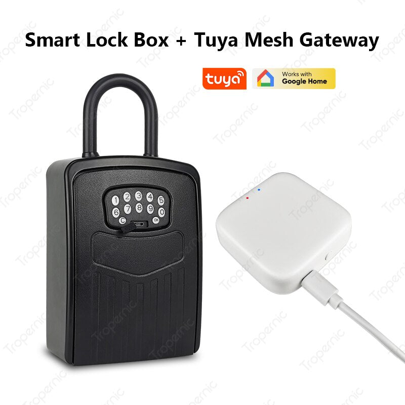 Ip65 Tuya Wifi Security Code Combination Lockbox For House Key Digital Electronic App Remote Control Realtor Airbnb Lock